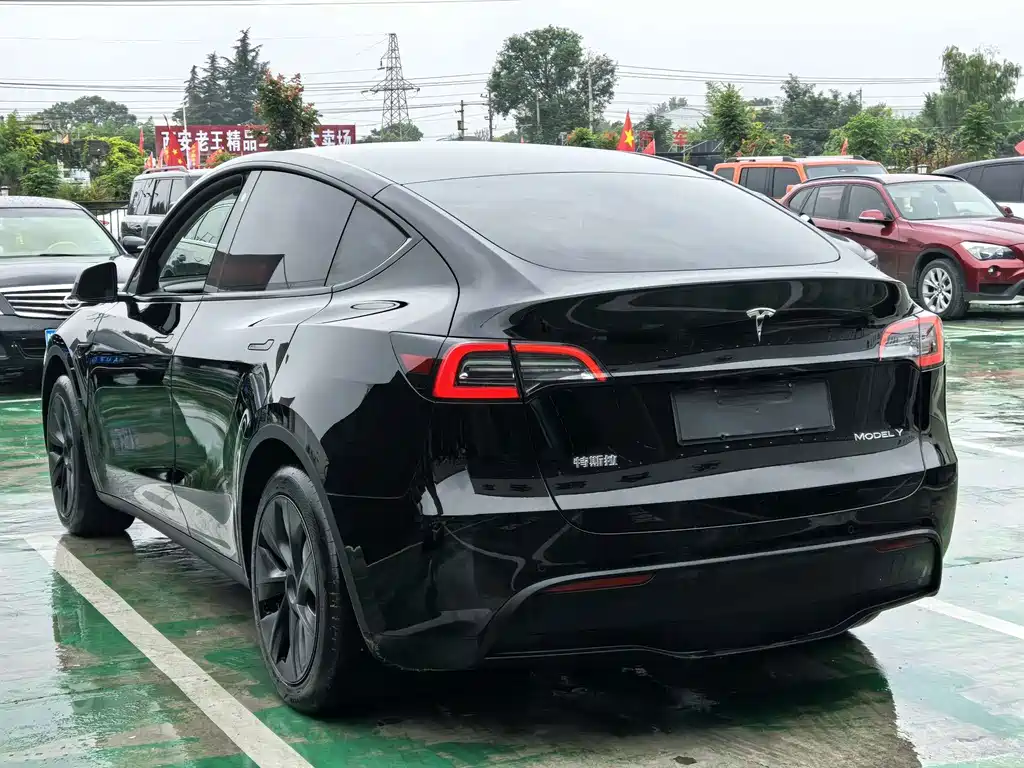 Tesla Model Y — миниатюра 23