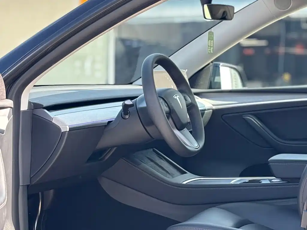 Tesla Model Y — миниатюра 4