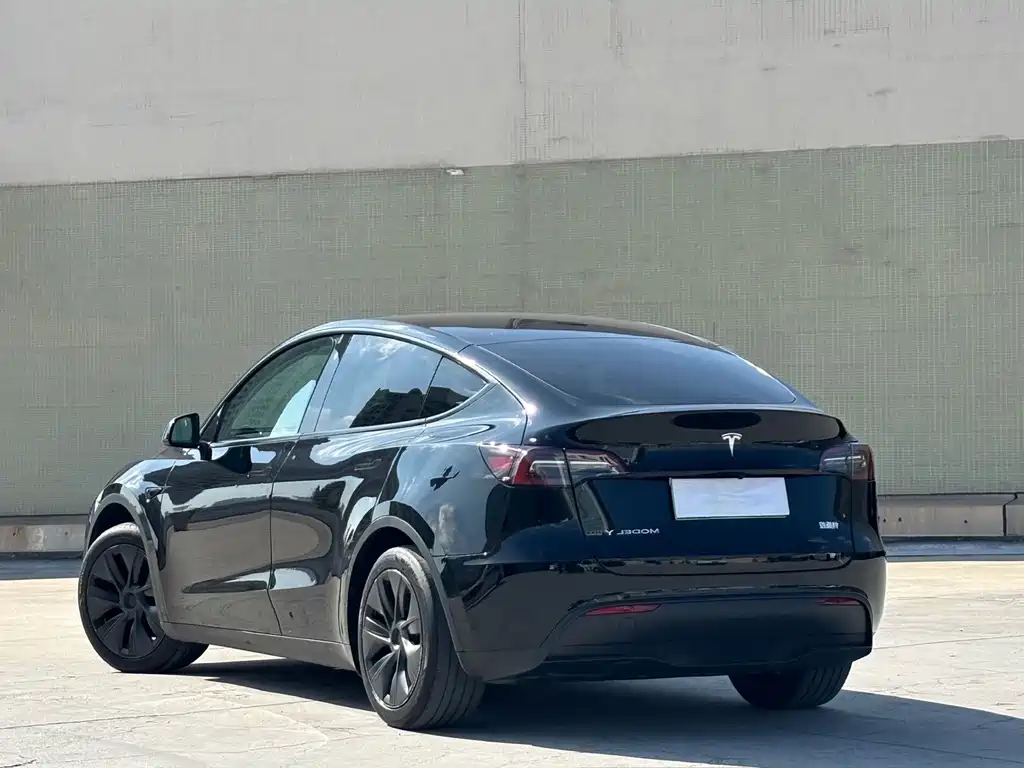 Tesla Model Y — миниатюра 12
