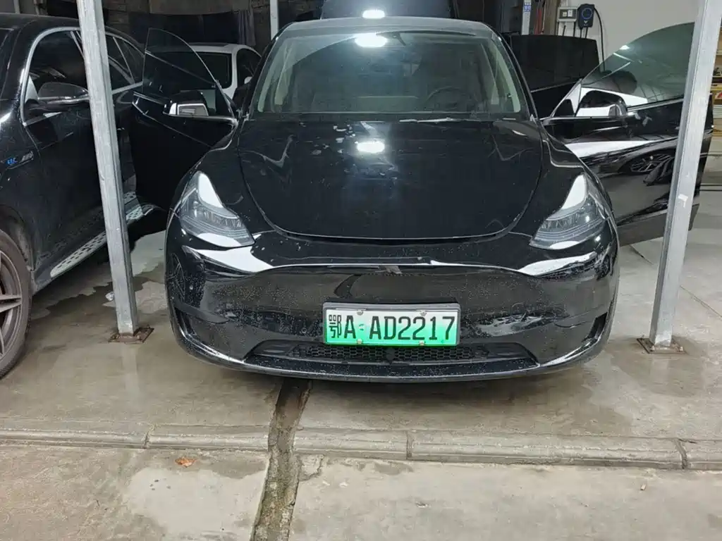 Tesla Model Y — миниатюра 2