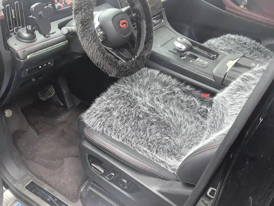 GAC Motor Trumpchi M8 — миниатюра 9