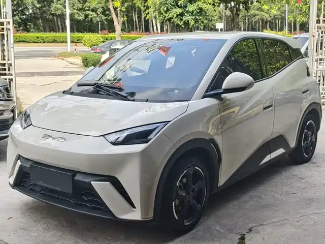 2023 BYD Seagull