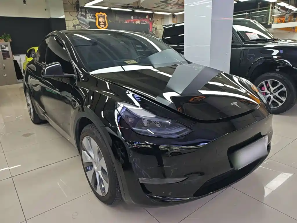 Tesla Model Y — миниатюра 4