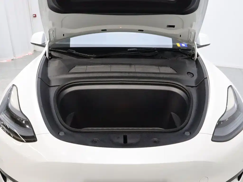 Tesla Model Y — миниатюра 21