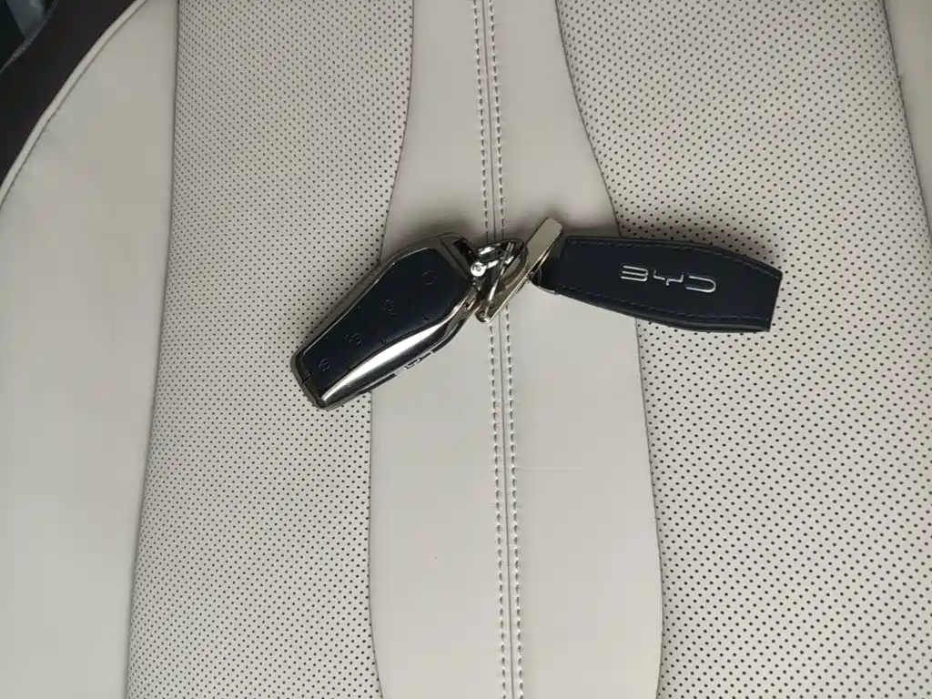 BYD PLUS New Energy — миниатюра 9