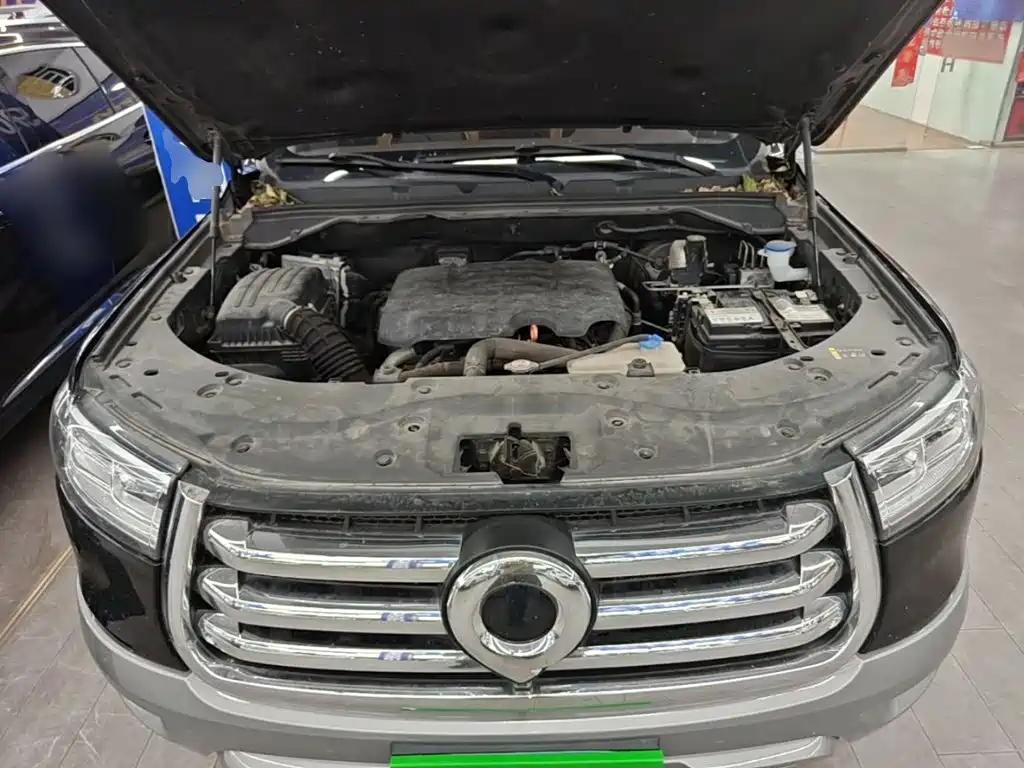 Great Wall Pao — миниатюра 20