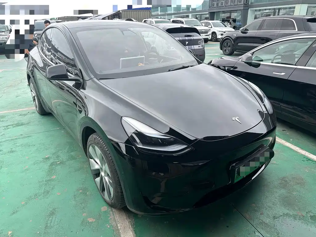 Tesla Model Y — миниатюра 3