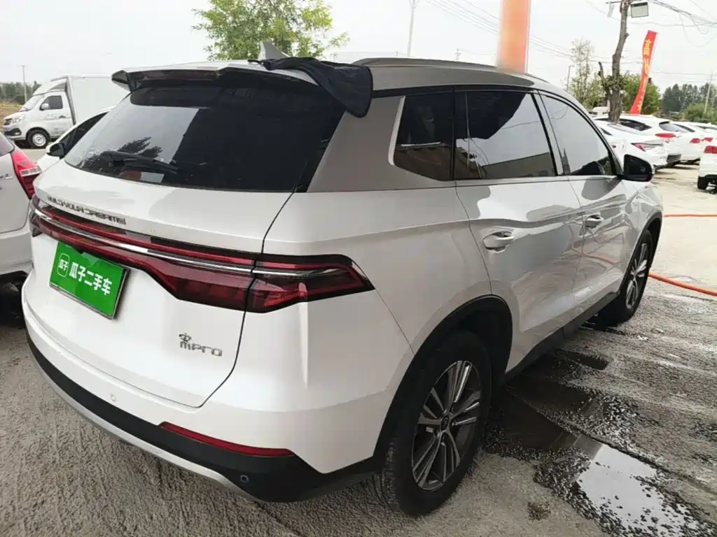 BYD Pro — миниатюра 7