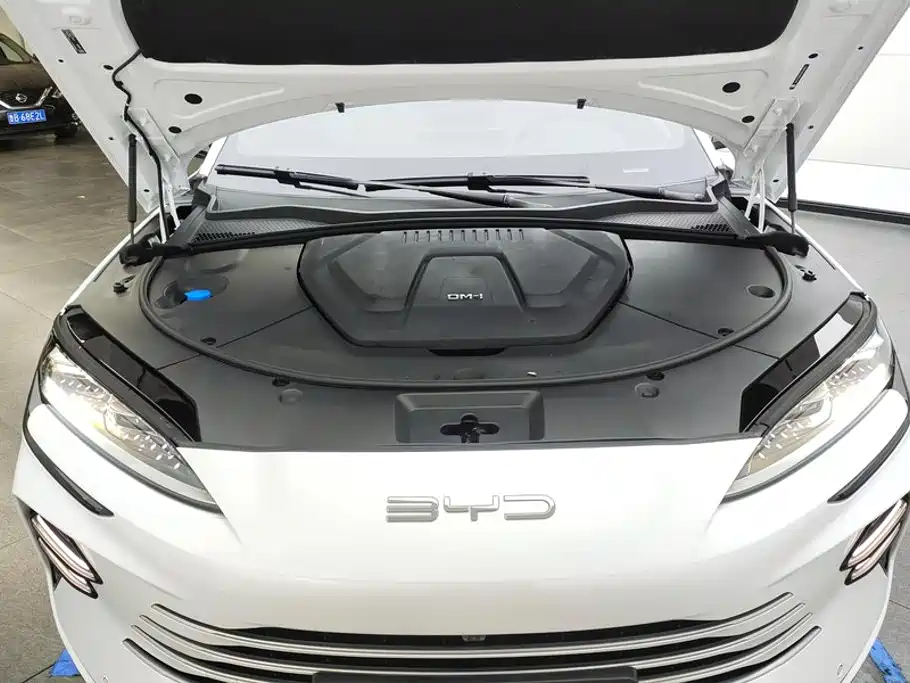 BYD PLUS New Energy — миниатюра 10