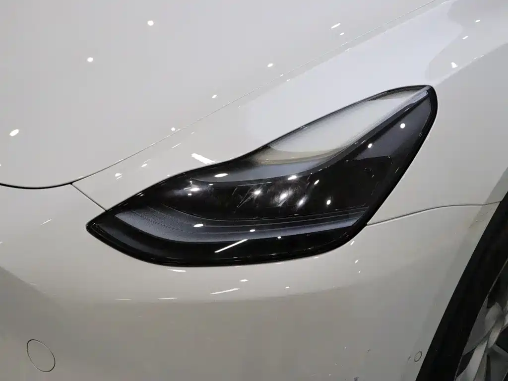 Tesla Model Y — миниатюра 19