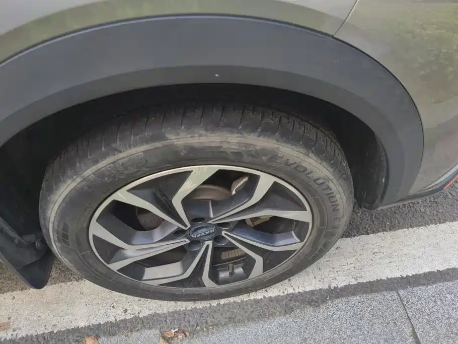 Haval Shenshou — миниатюра 6