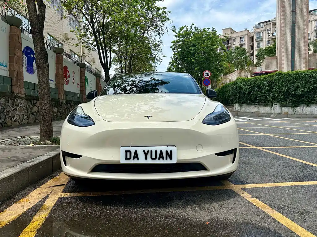 Tesla Model Y — миниатюра 2