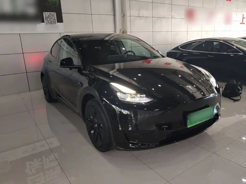 Tesla Model Y — миниатюра 4