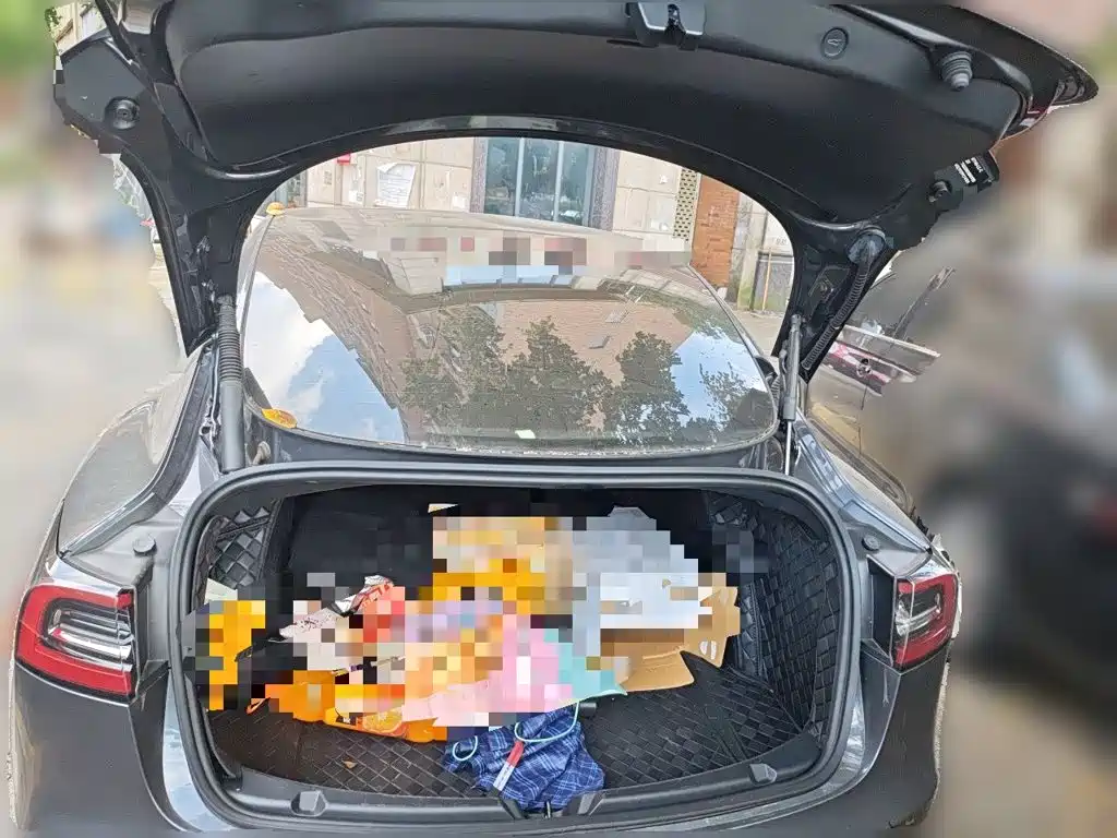 Tesla Model 3 — миниатюра 10