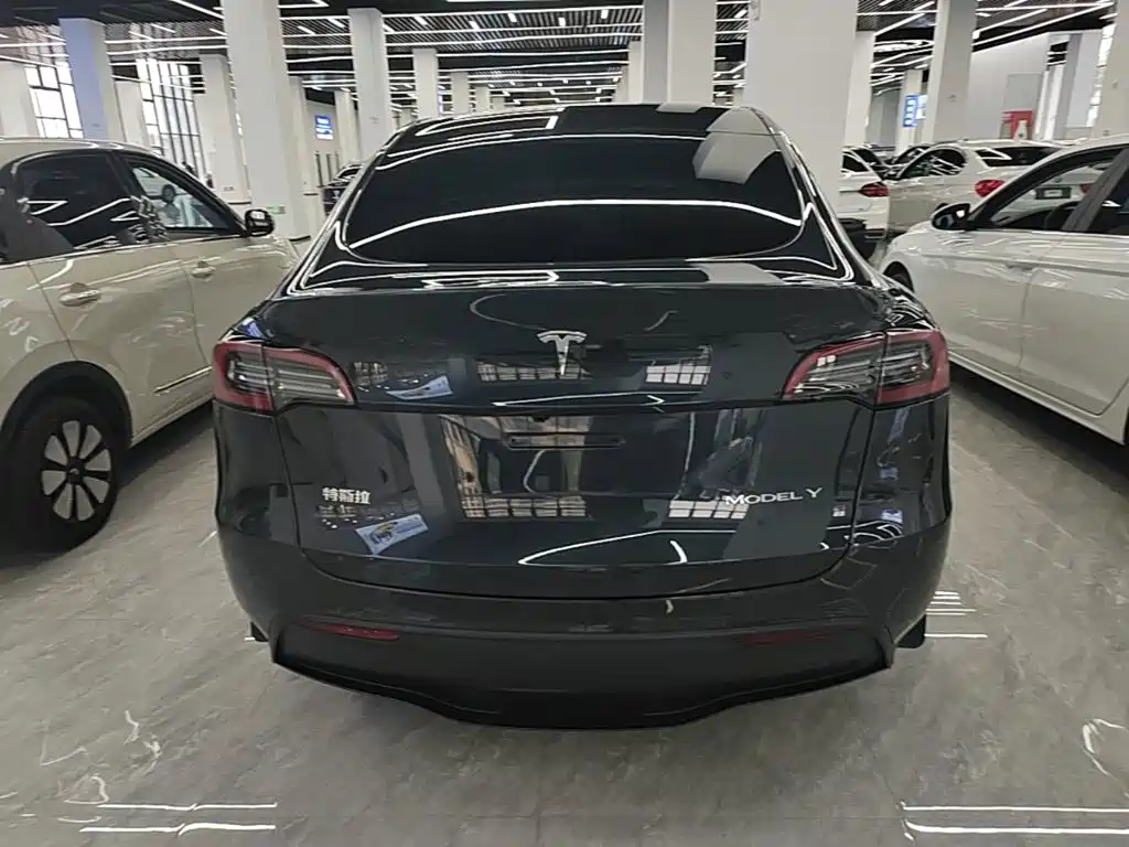 Tesla Model Y — миниатюра 6