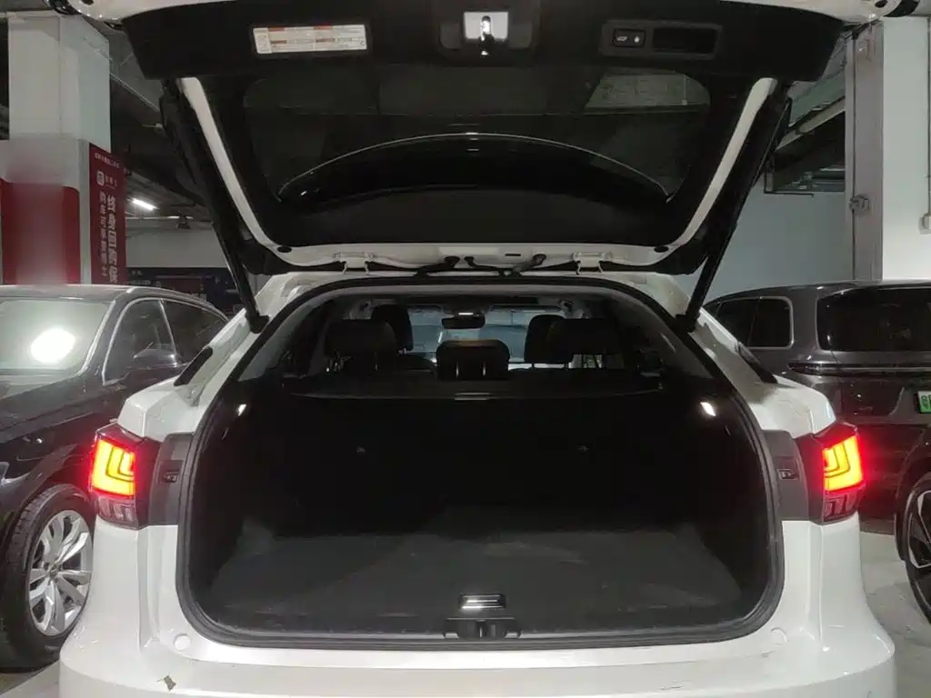 Lexus RX — миниатюра 19
