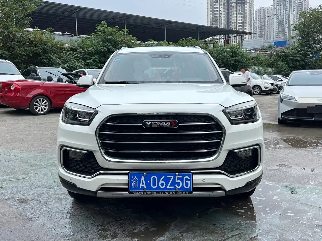 MUSTANG MOTORS MUSTANG T80