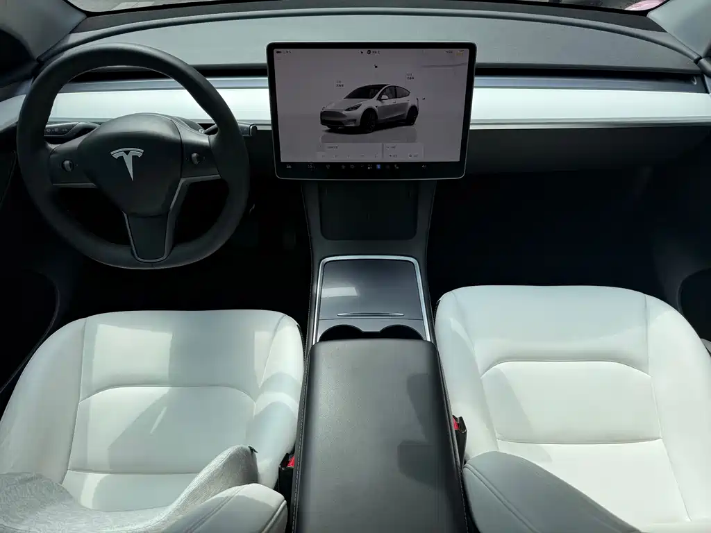 Tesla Model Y — миниатюра 9