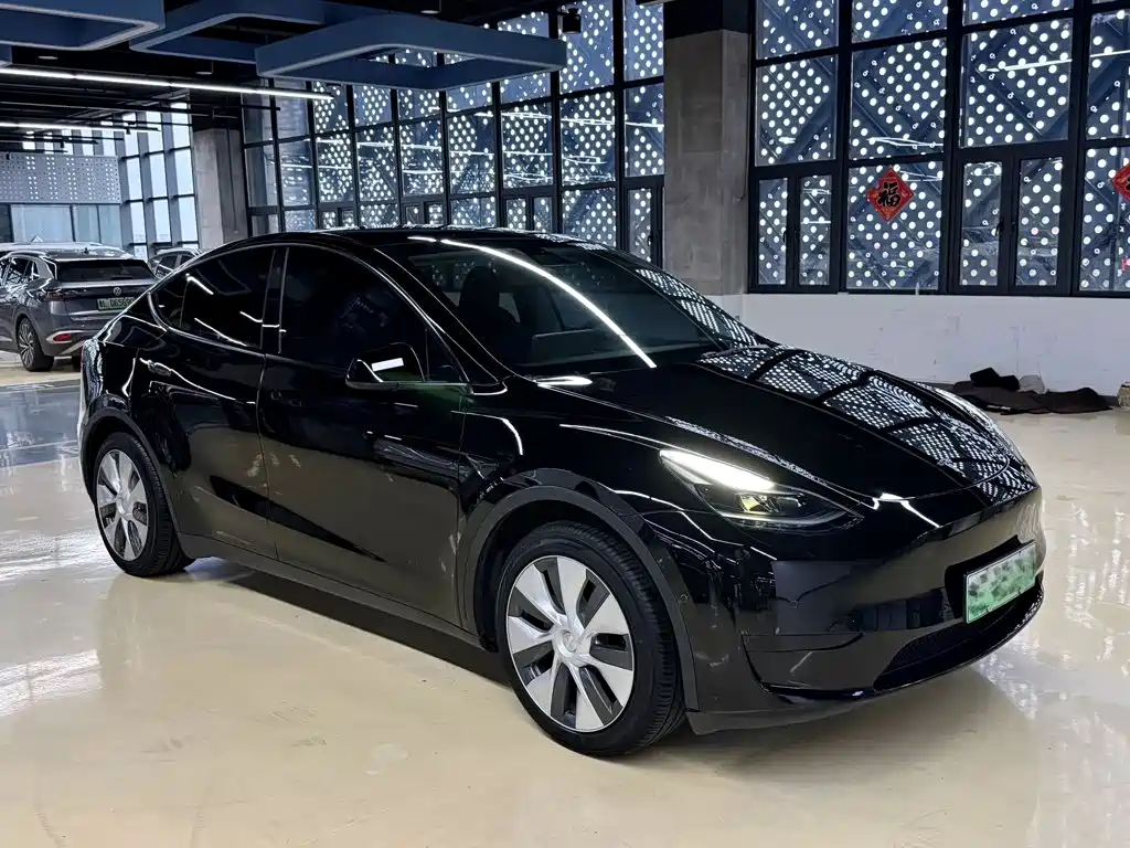 Tesla Model Y — миниатюра 9