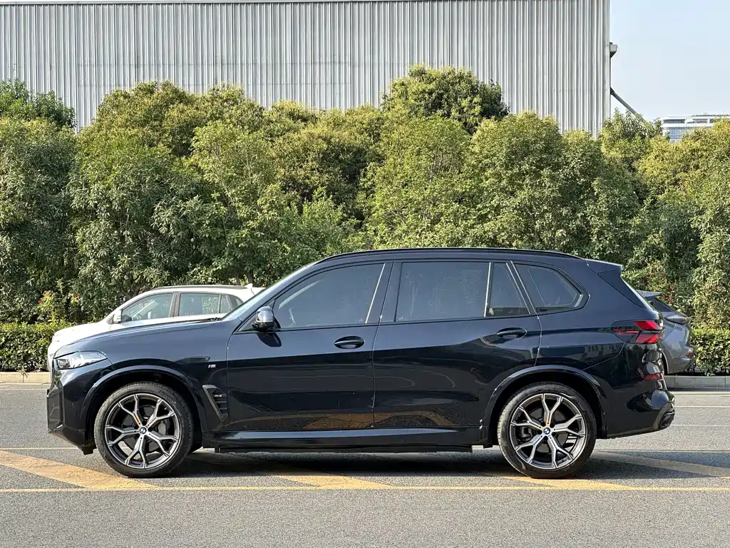 BMW X5 — миниатюра 7