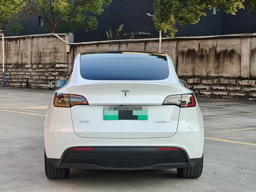 Tesla Model Y — миниатюра 6