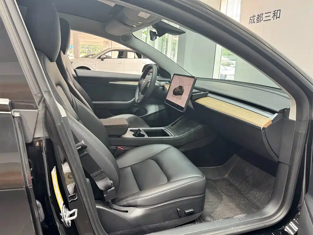 Tesla Model 3 — миниатюра 14