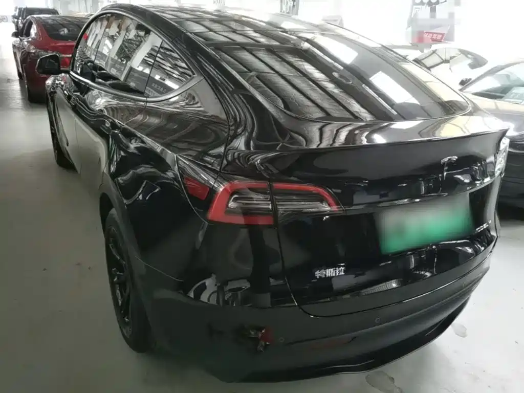 Tesla Model Y — миниатюра 5