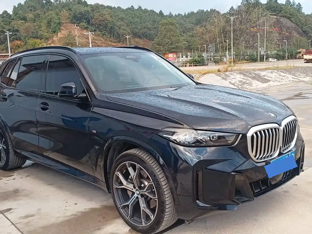 BMW X5 — миниатюра 10