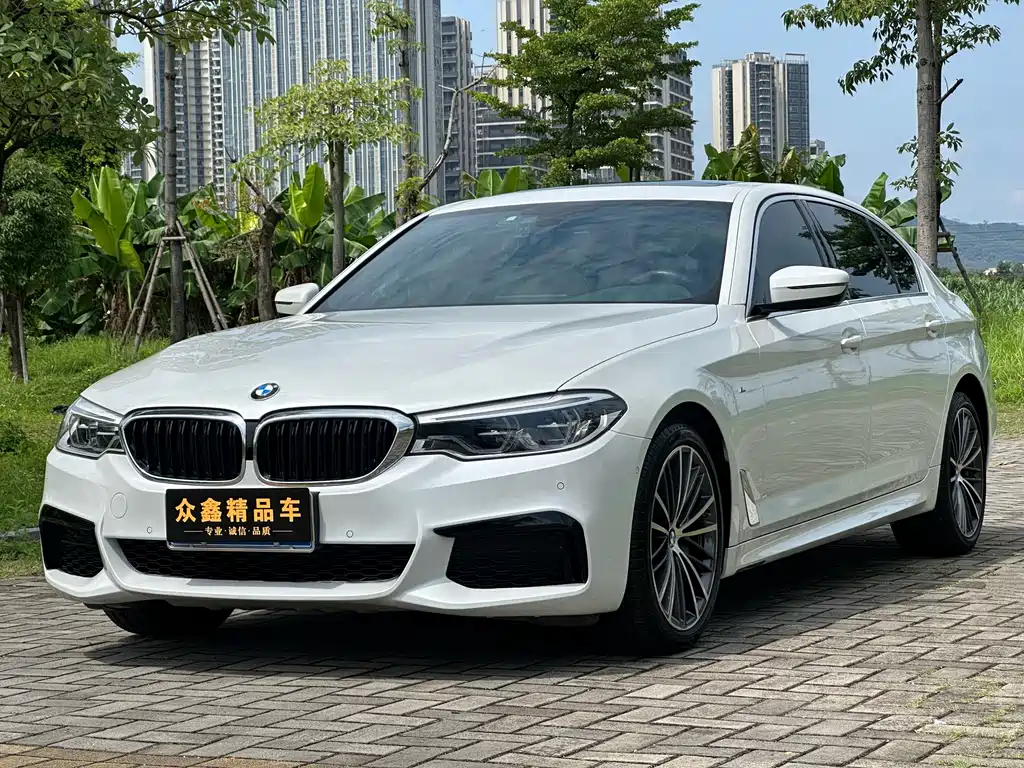 BMW 5 Series 2020 530Li Leading Type M Sport Package