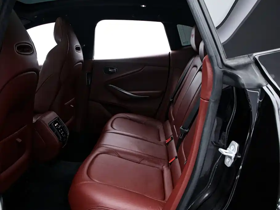 Aston Martin DBX — миниатюра 16