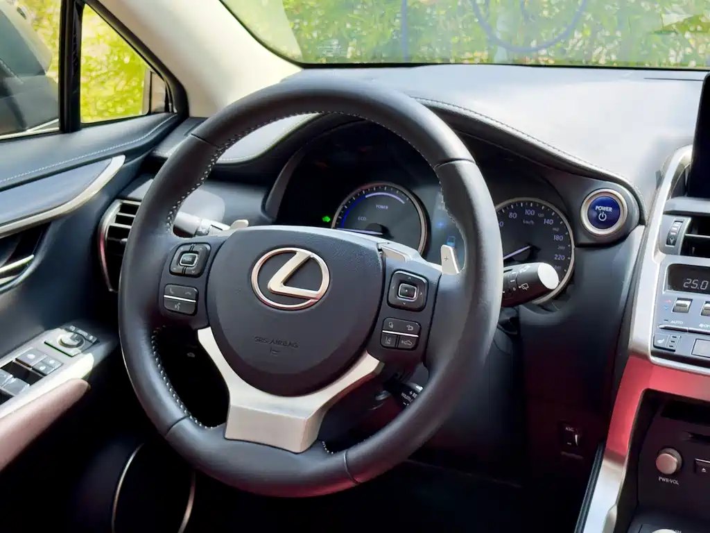 Lexus NX — миниатюра 12