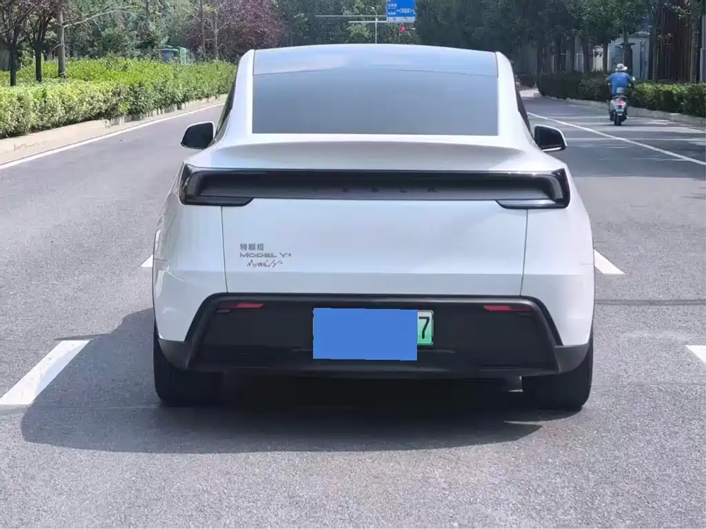 Tesla Model Y — миниатюра 6