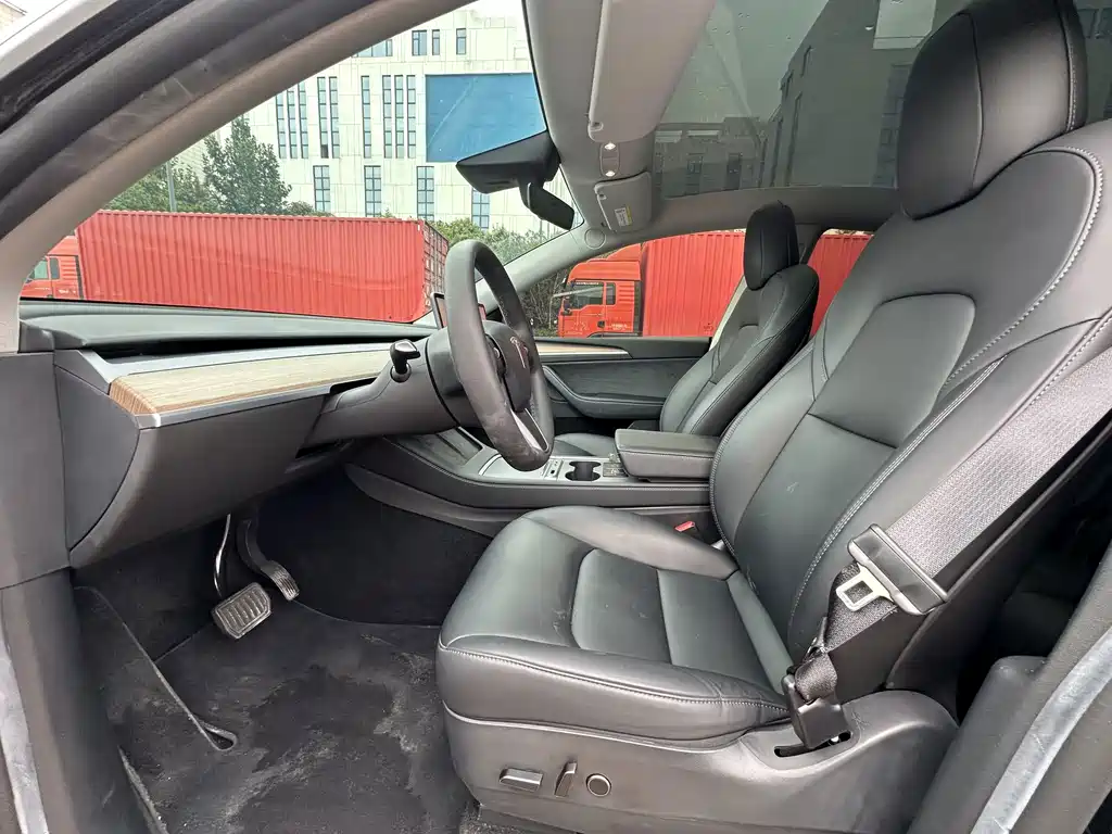 Tesla Model Y — миниатюра 3