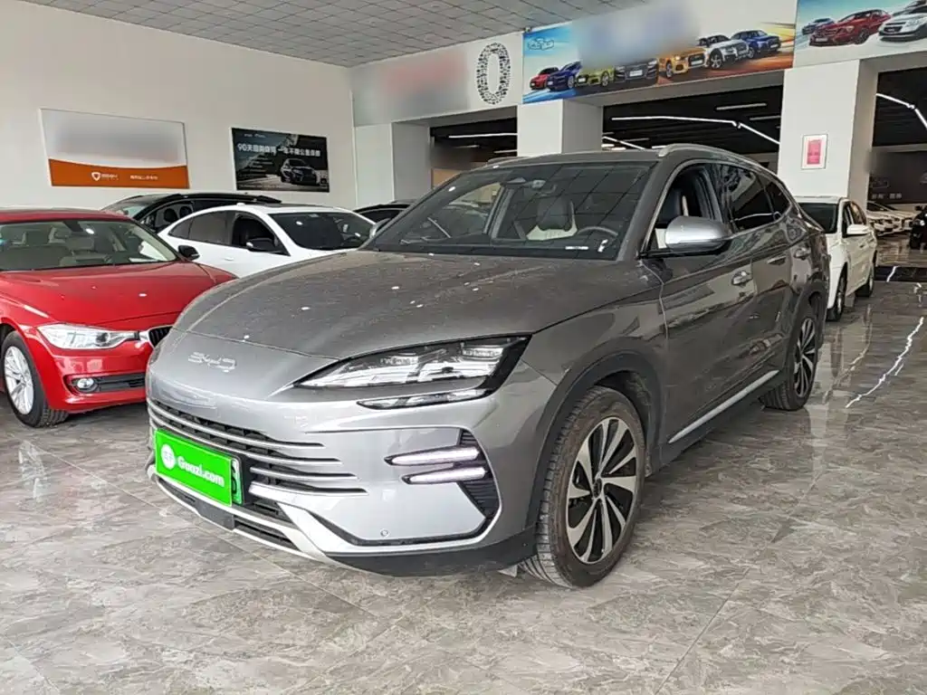 BYD PLUS New Energy — миниатюра 2