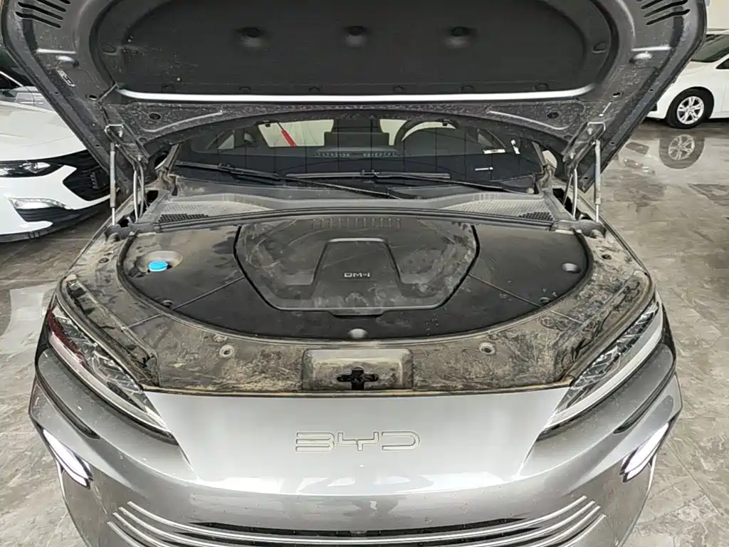 BYD PLUS New Energy — миниатюра 18