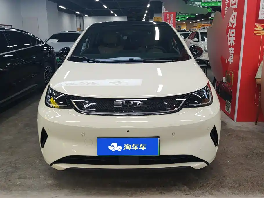 BYD Dolphin — миниатюра 2