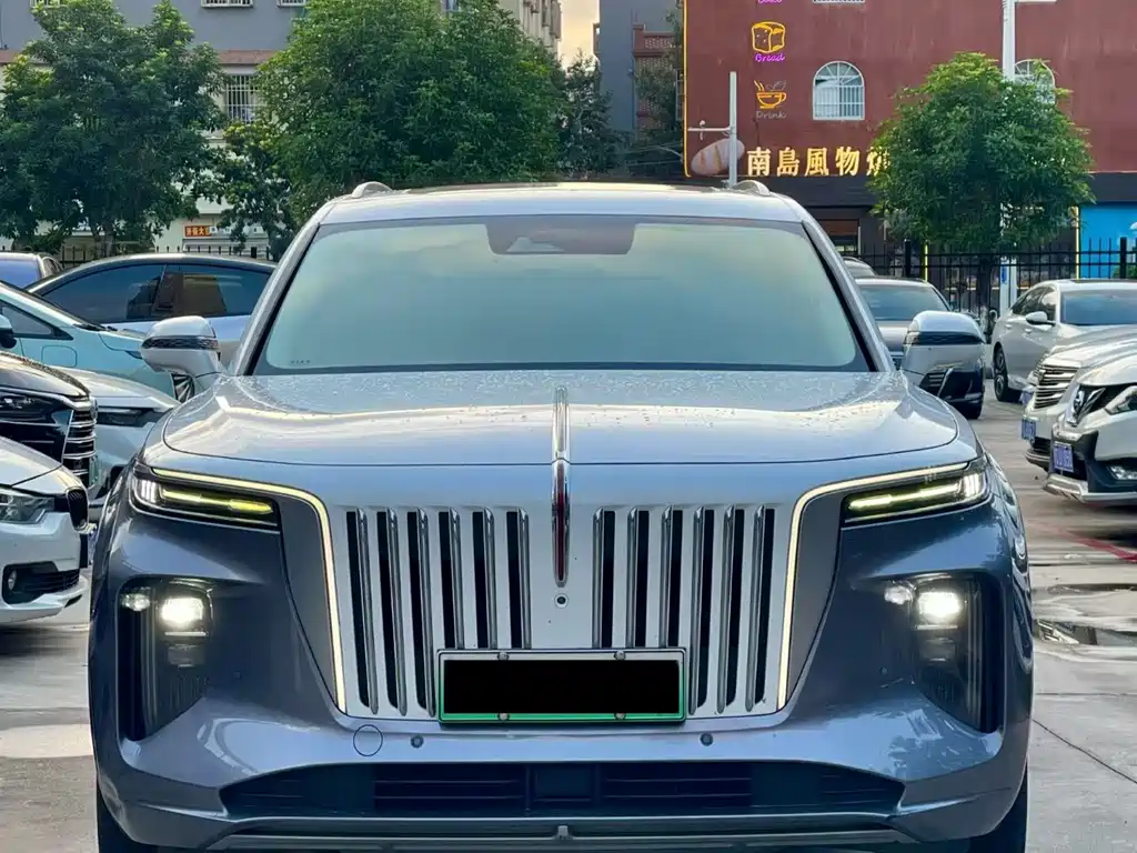 Hongqi Hongqi E-HS9 — миниатюра 2