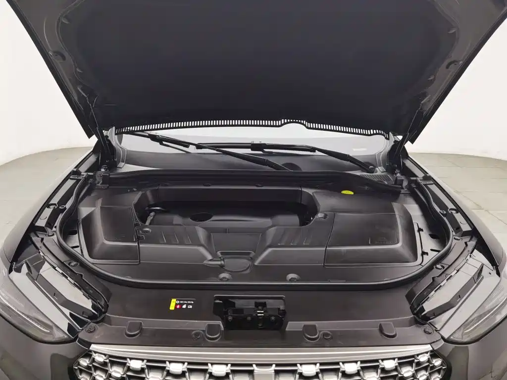 Wey Wey VV6 — миниатюра 6