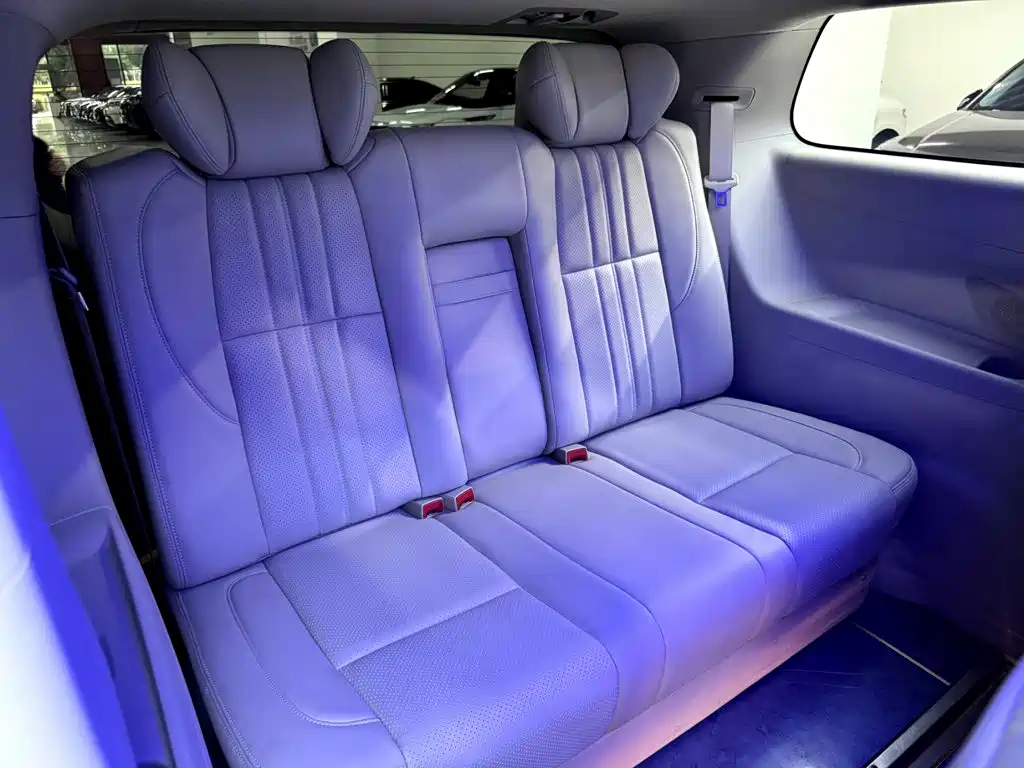 Buick GL8 — миниатюра 20