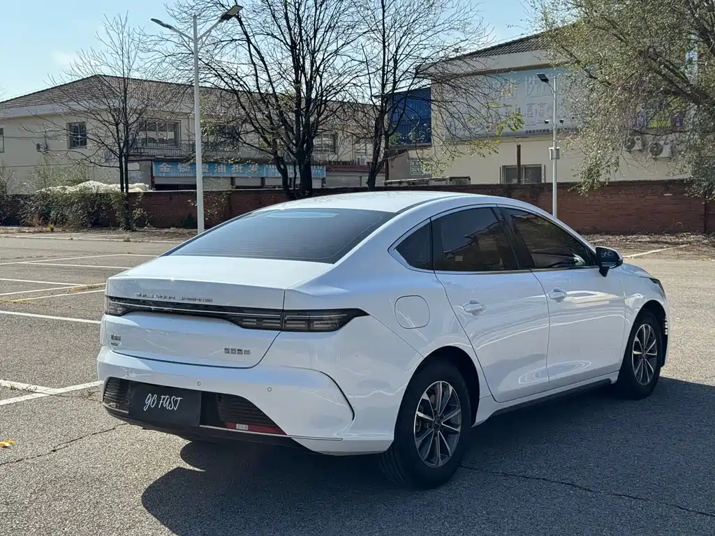 BYD Destroyer 05 — миниатюра 6