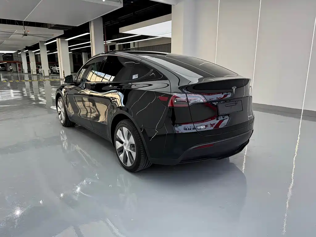 Tesla Model Y — миниатюра 15
