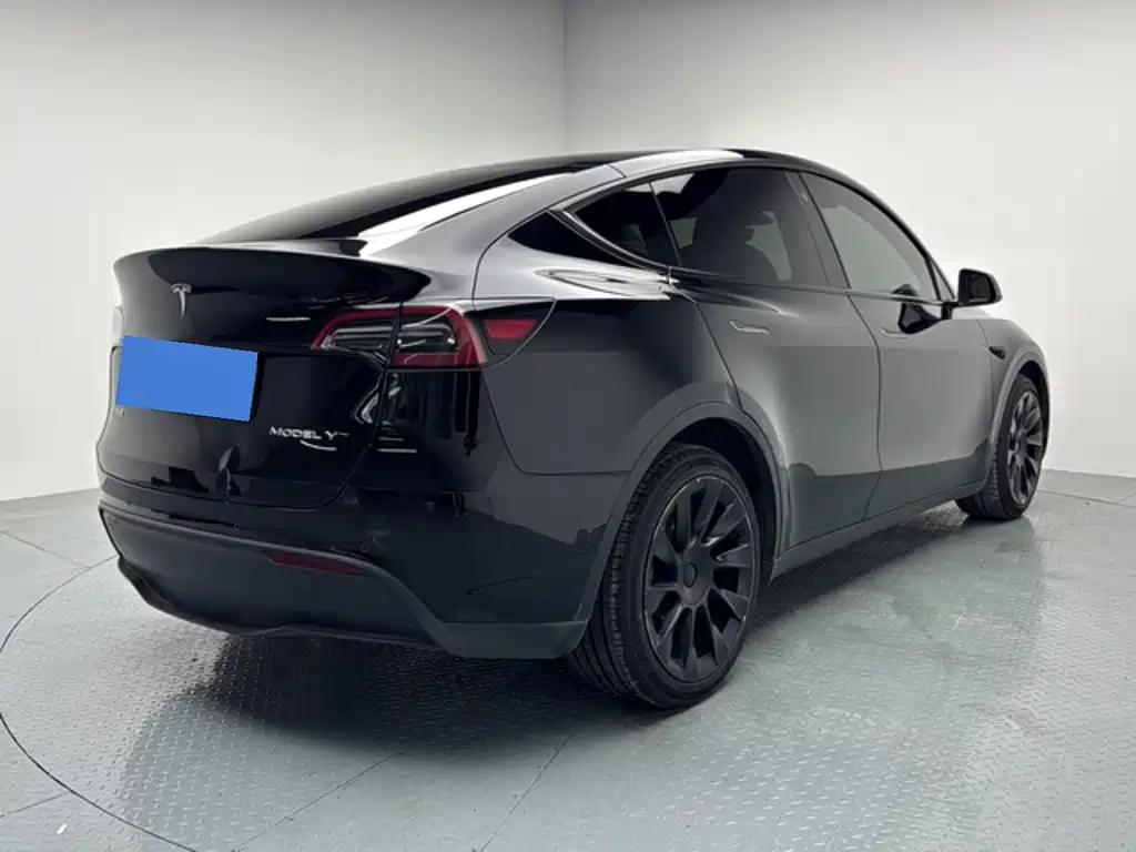 Tesla Model Y — миниатюра 7