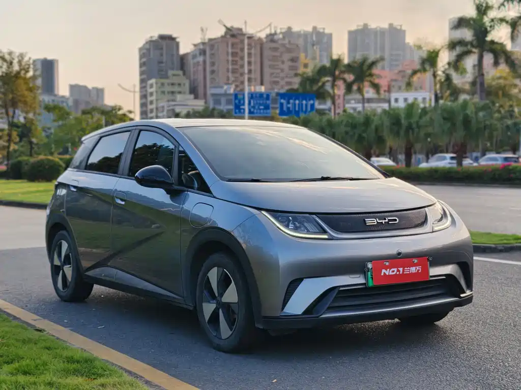BYD Dolphin — миниатюра 2