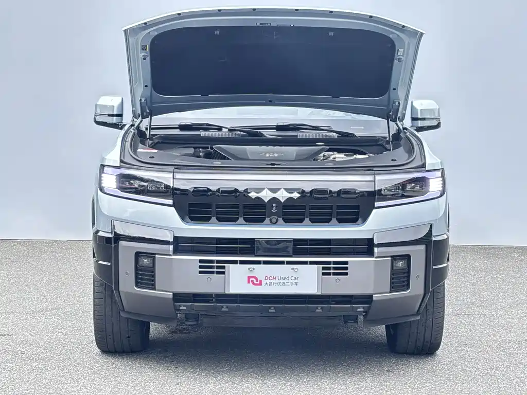 Fang Cheng Bao Leopard 8 — миниатюра 11