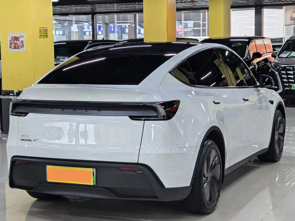 Tesla Model Y — миниатюра 15