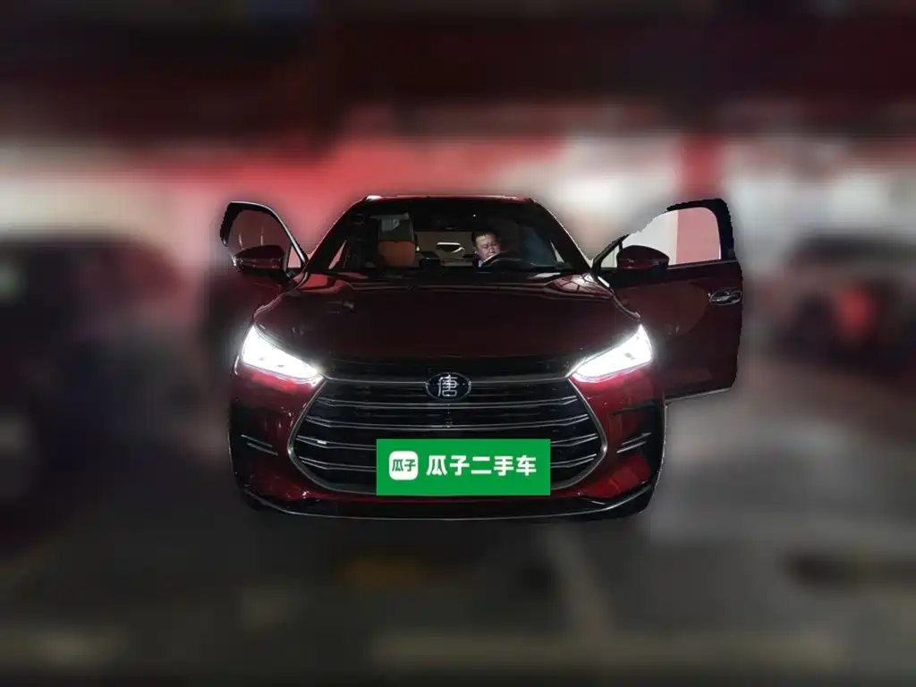 BYD Tang New Energy — миниатюра 2
