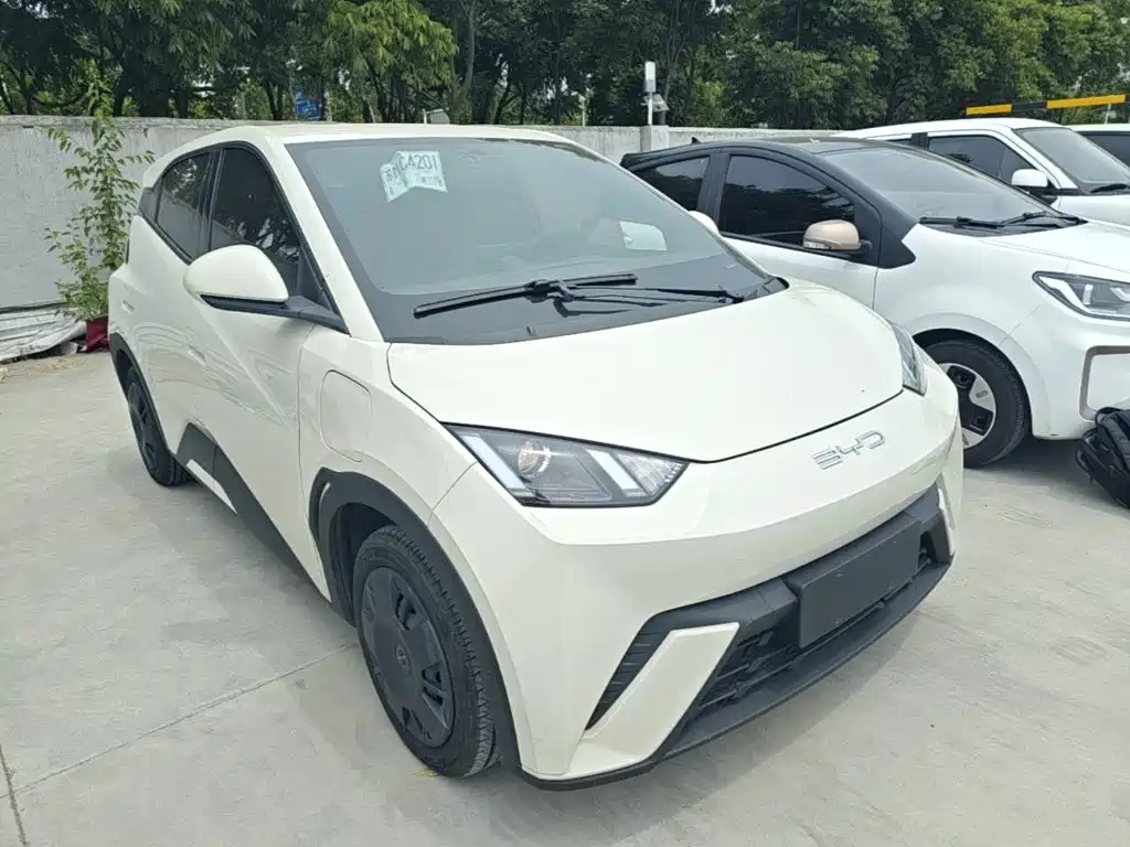 BYD Seagull