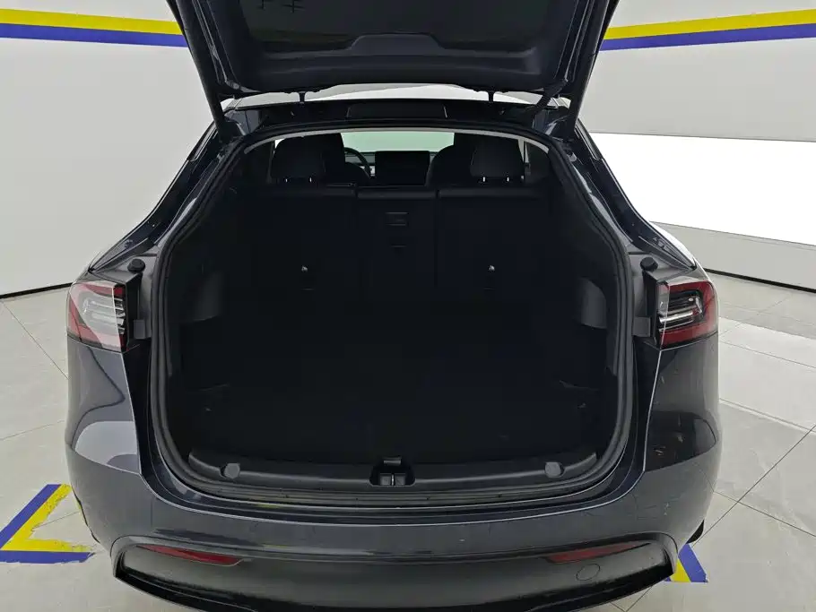 Tesla Model Y — миниатюра 4