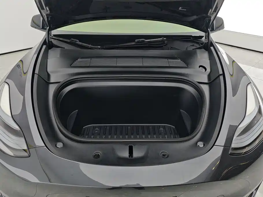 Tesla Model Y — миниатюра 10