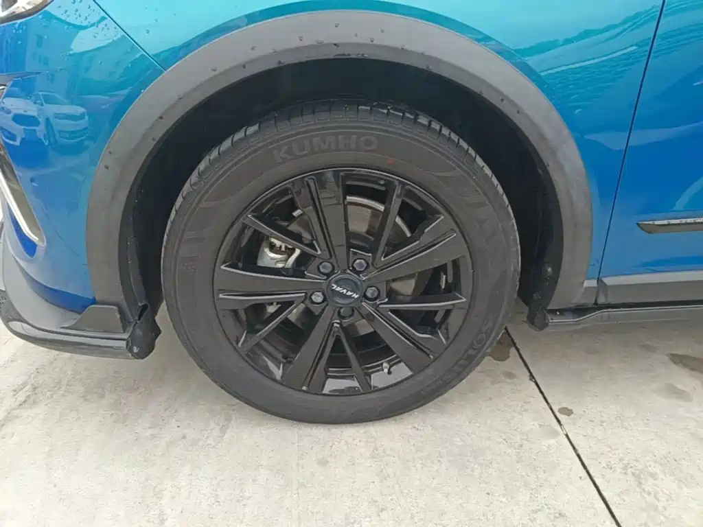 Haval Chitu — миниатюра 23